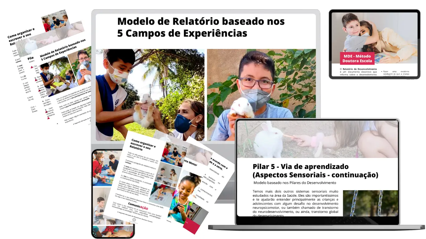 Páginas internas do livro com modelos de relatórios